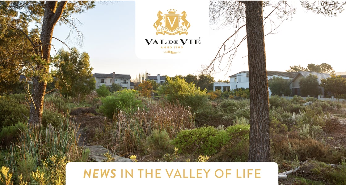 News in the Valley of Life